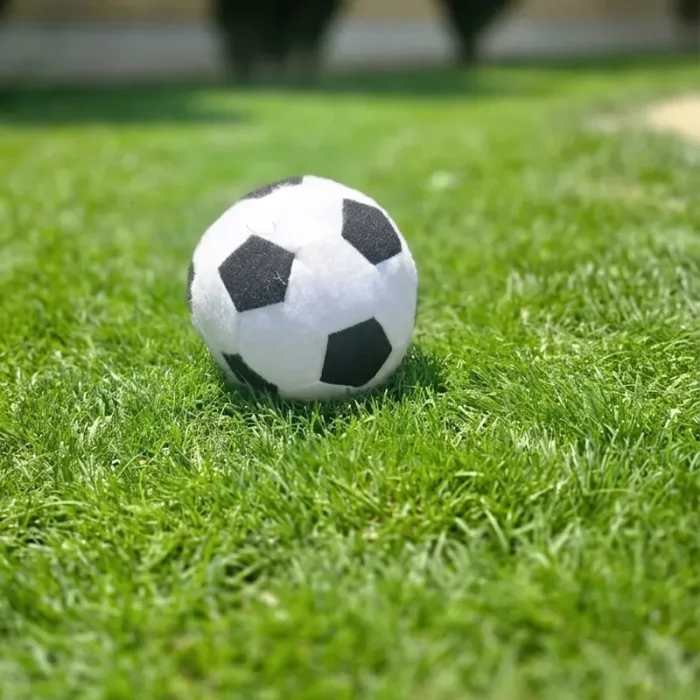 شوت دارت تاشو با 3 عدد توپ کد 7676086