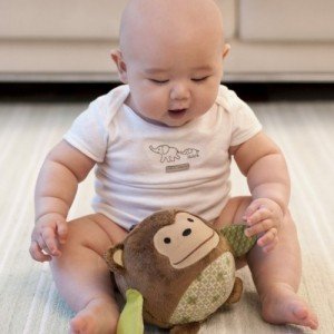 توپ جغجغه ای طرح میمون skip hope