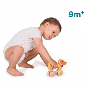 سگ چرخدار چوبی oops کد1700822