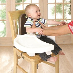 y7529_swing tray booster seat_ls.jpg