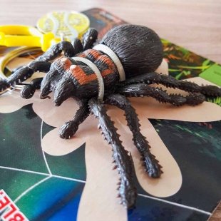 جاکلیدی فانتزی مدل عنکبوت کد 21897C