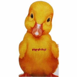 کتاب داستان اردک کوچولو کد 593527