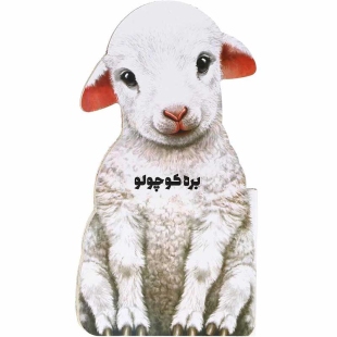 کتاب داستان بره کوچولو کد 593541