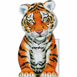 کتاب داستان ببر کوچولو کد 593534