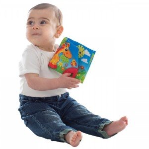 playgro-185482-2.jpg