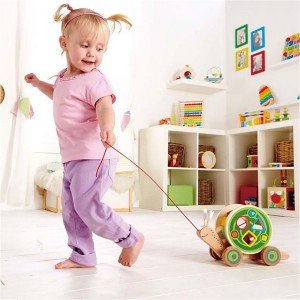 حلزون چوبی کودک Walk-a-long Snail hape 0349