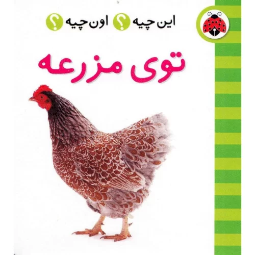 کتاب توی مزرعه،فرهنگ تصویری این چیه؟ اون چیه؟ کد 4277184