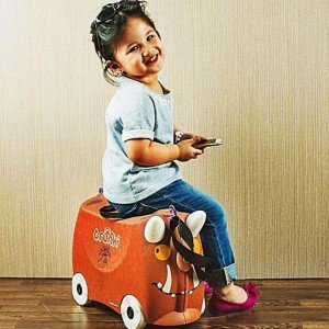 ترانکی بوفالو Gruffalo Trunki كد 10108