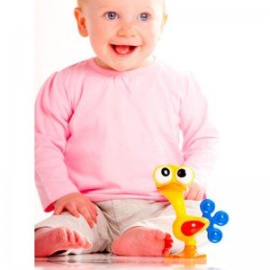 پرنده چشم گردون tolo کد89679