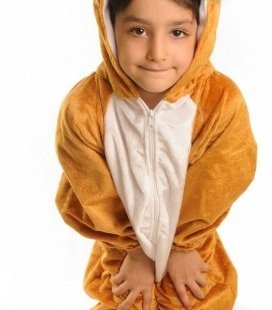 تن پوش نمایشی مدل شیرسايز 1