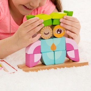 بازی و سرگرمی با بلوک 24 تکه چوبی classic world مدل Owl Blocks set 3708