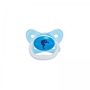 پستانک تکی 12+ ماه فیروزه ای Dr.brown's مدل 31404