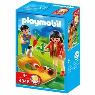 guinea pig penكد4348