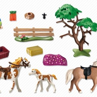 0009194_playmobil-country-paddock-with-horses-and-pony-5227.jpeg