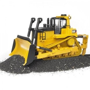 cat large track  2452