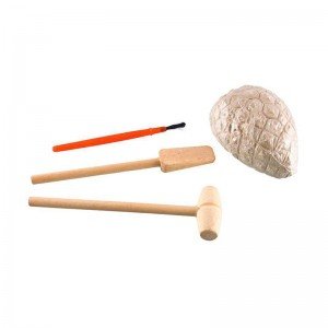 فسیل کهربا حشرات مدل 1705