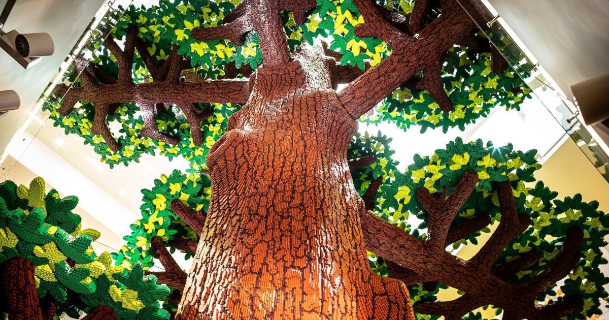 tree of ceativity 36