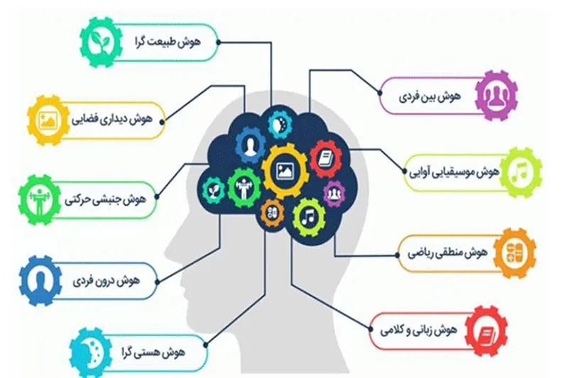 نظریه هوش گاردنر