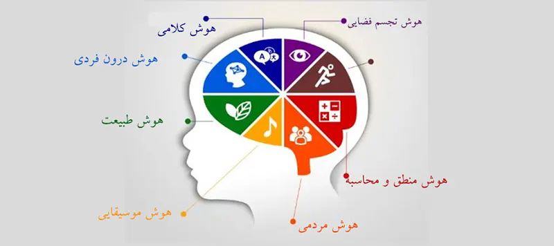 انواع هوش‌ گاردنر؛ چرا نتایج تست هوش سنتی قابل اعتماد نیست؟