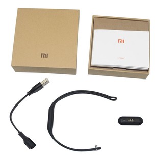 shemshad-xiaomi-miband1s-detailpackage