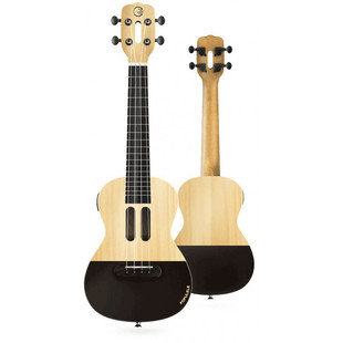 3144-umnoe-ukulele-mi-populele-smart-ukulele-u1_9859_1024