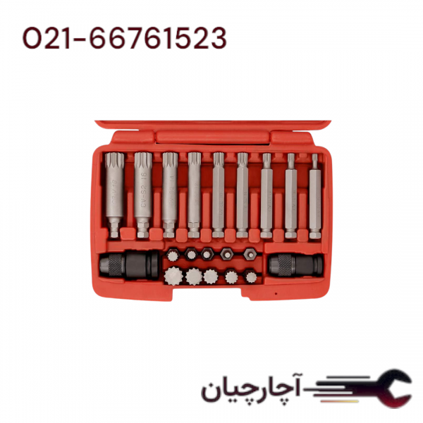 جعبه بیت های هزار خار 21 عددی  برند داناکو، کد کالا D3941221