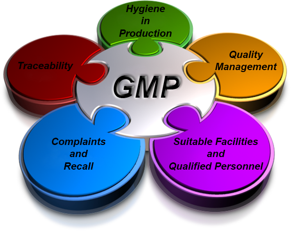 GMP