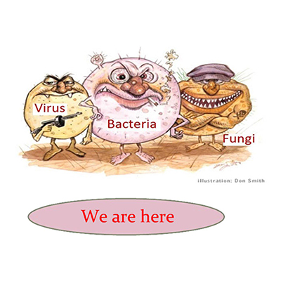منابع آلودگی میکروبی در اتاق های تمیز