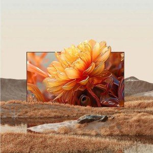 پرده ضدنور ویدئو پروژکتور ونبو 100 اینچ  Wanbo Fresnel Light Rejecting Screen WBAA05 XL 100 Inch