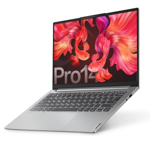 لپ تاپ لنوو پرو 14 مدل Lenovo Pro 14 AMD 5800H 2.8K 90Hz