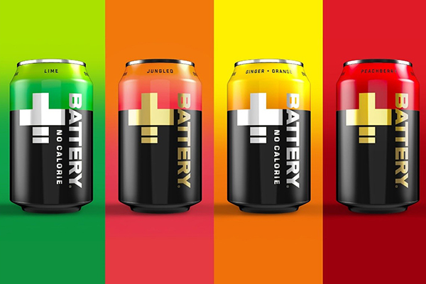 انواع باتری ها و روش های شارژ آنها