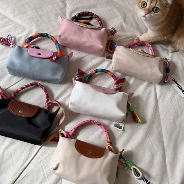 کیف لانگ چمپ مینی کد N02