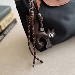 کیف لانگ چمپ کد F60