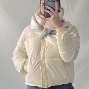 کاپشن کد 2208