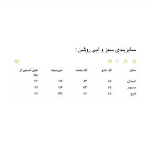 شومیز ZARA کد 2874