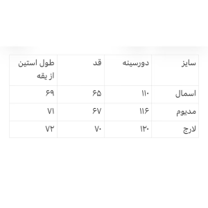کت چرم کد 2968