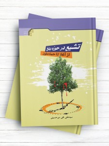 زمینه ها و عوامل گسترش تشیع در حوزه بلخ از آغاز تا حمله مغول