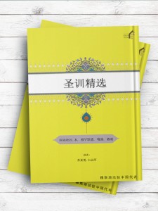 (المختار من الاحادیث النبویة)圣训精选 ( چینی )
