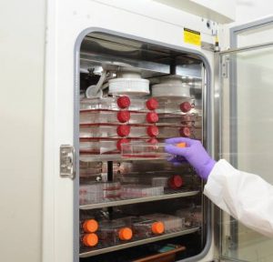 دستگاه انکوباتور چیست؟