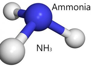 خطرات، و نکات ایمنی کار با آمونیاک