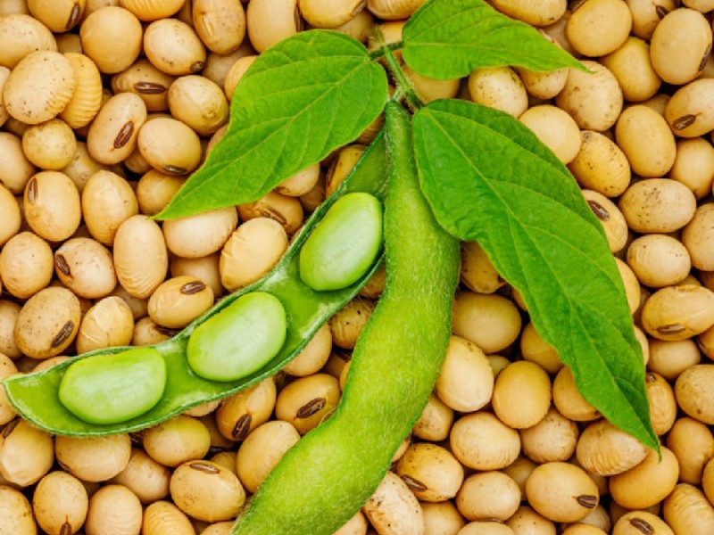 6 ماده غذایی حساسیت‌زا