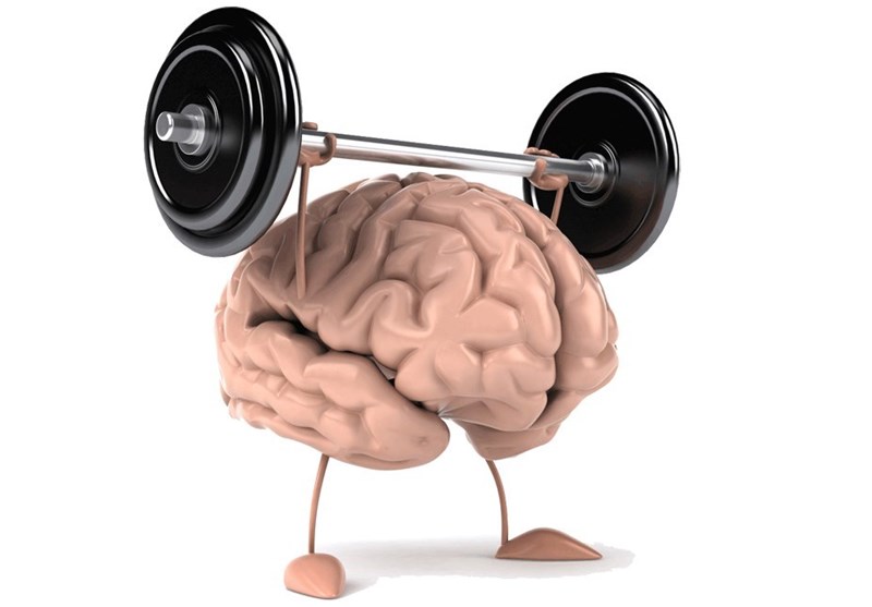 این خوراکی‌ها از کوچک شدن مغز جلوگیری می‌کند