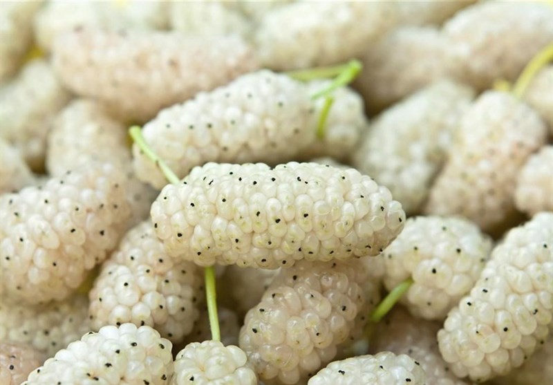 از درمان کم‌خونی کودکان تا افزایش طول عمر