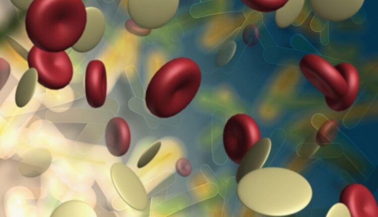 گلبولهای قرمز هستهدار