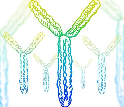 آنتی‌بادی‌های درون‌زاد