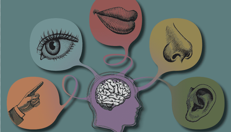 چگونه احساسات را درک می‌کنیم؟