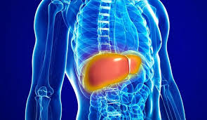 درمان های خانگی برای بهبود سوء هاضمه