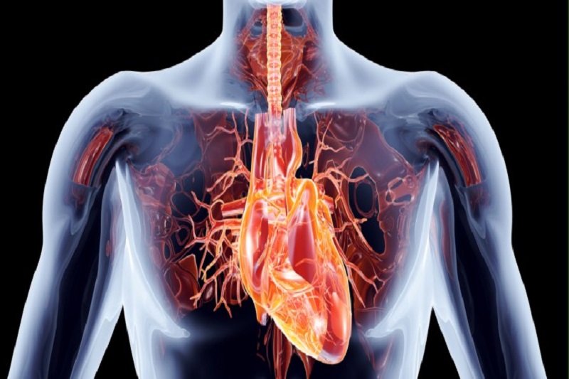 تفاوت بین حمله قلبی و ایست قلبی