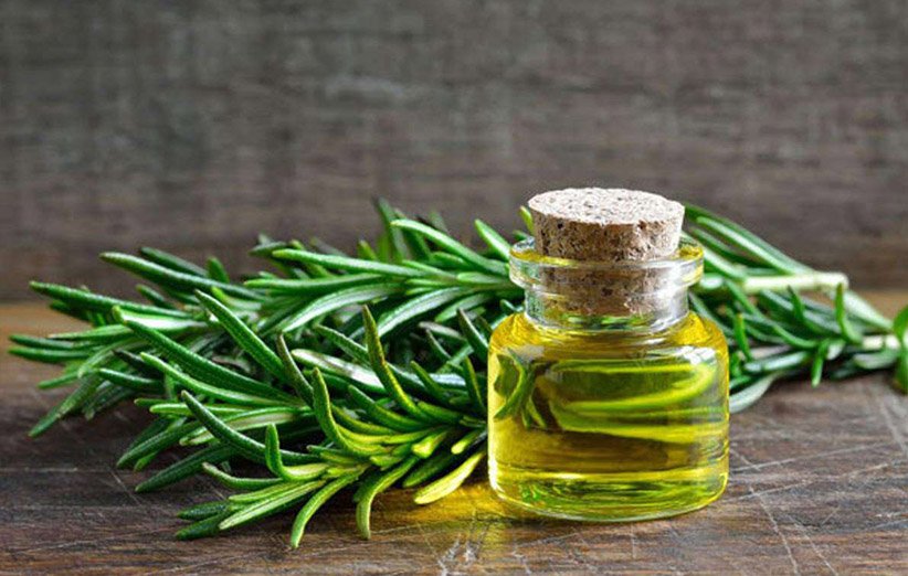 آیا عصاره‌ی رزماری واقعا در رشد و تقویت مو مؤثر است؟