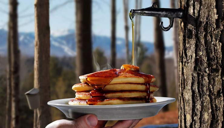 شیره افرا؛ ارزش غذایی، خواص و عوارض